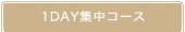 1DAY集中コース